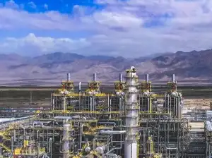 跨越生死界限！中国猕猴异种器官移植破纪录存活超一年