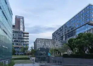 揭秘光合奇迹：中国科学家首揭颗石藻高效捕光之谜，开启新型光合蛋白设计新纪元