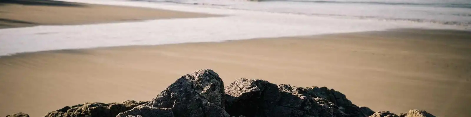 王传福罕见坦言技术退步！比亚迪重磅黑科技即将引爆行业地震