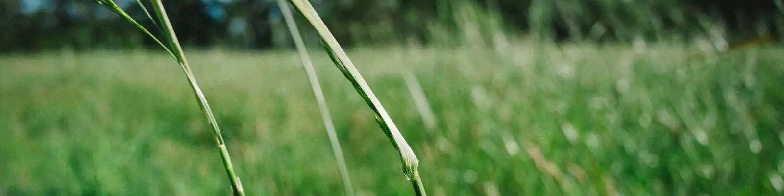 微信AI权限大解放！李楠透露：生态开放进入超级智能体时代