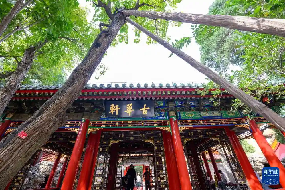 乾隆花园惊艳开放，古韵新颜引热议