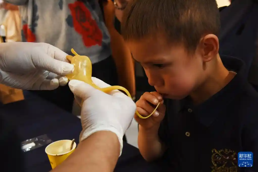 河北文化惊艳亮相荷兰海牙，中欧文明碰撞新火花