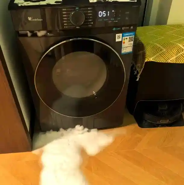 老洗衣机清洁新妙招,别再乱用桶自洁!小天鹅TG100V618PLUS这样洗最有效