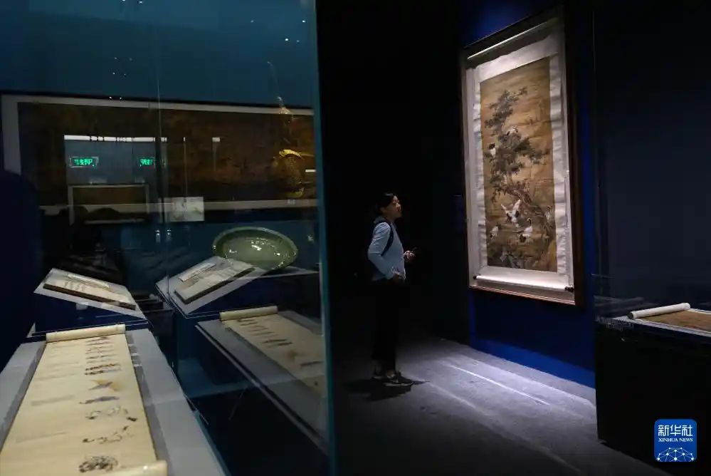 上合五国文物齐聚京城，古韵今辉共谱文化新篇