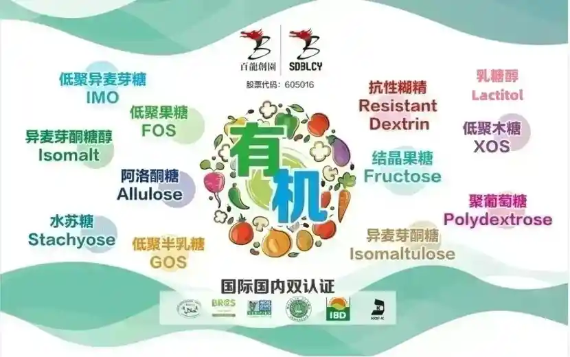 百龙创园:甜蜜突围,创新赛道上的稳健飞跃
