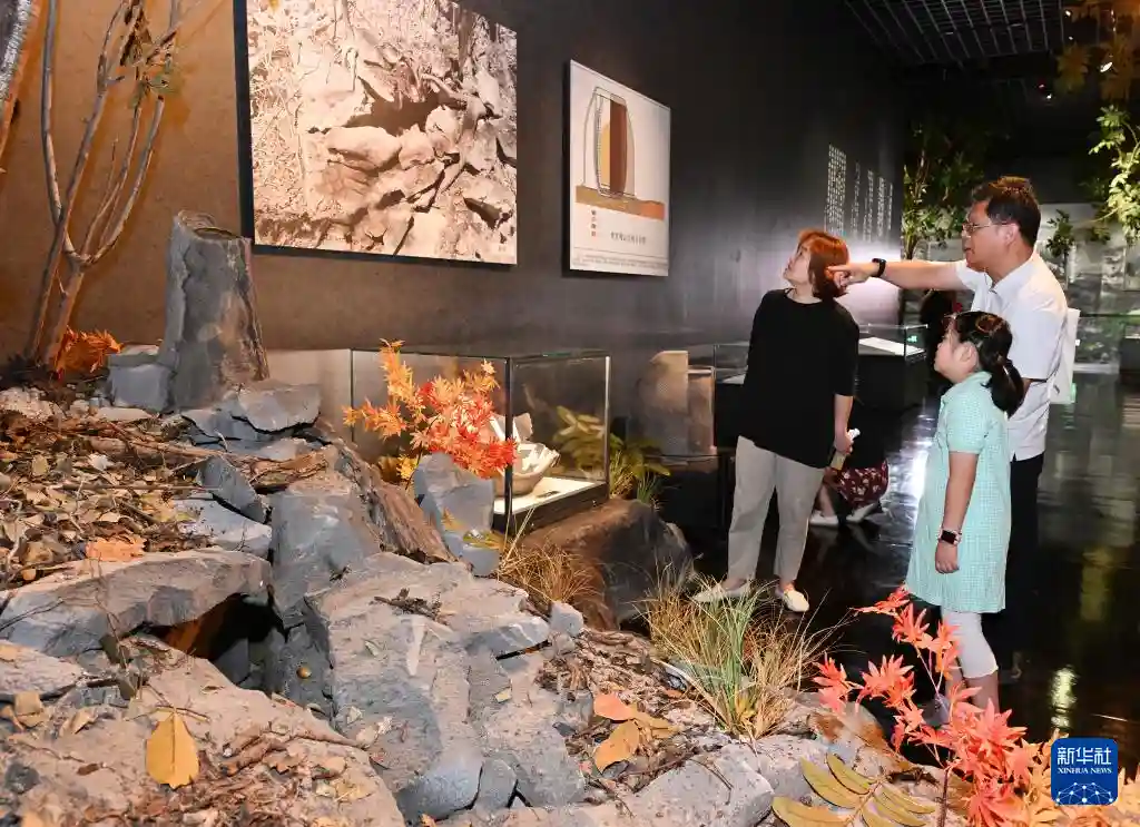 东北抗联秘史首现京城，文物重现峥嵘岁月