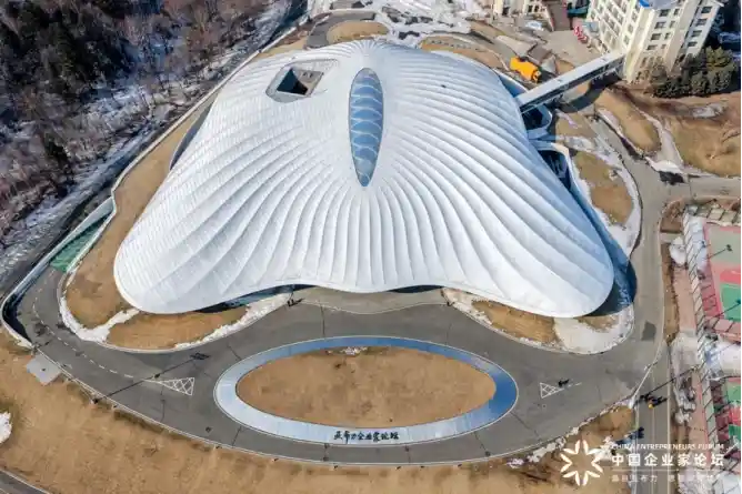 AI赋能医疗新未来，张黎刚引领全球健康变革