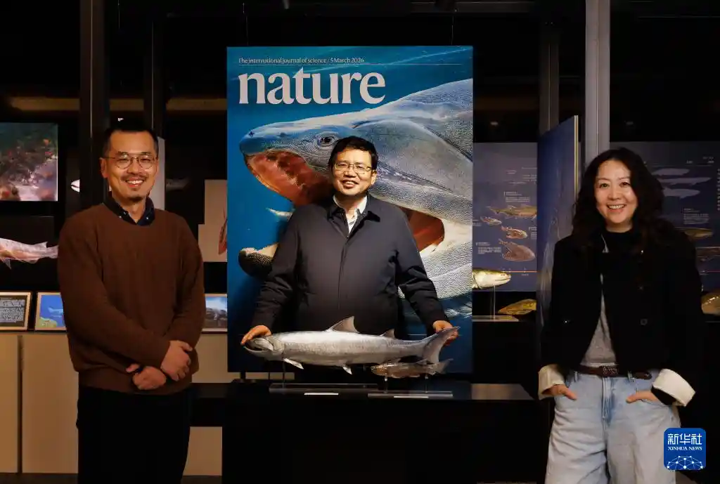 从鱼到人再突破！中国发现关键硬骨鱼化石新证据