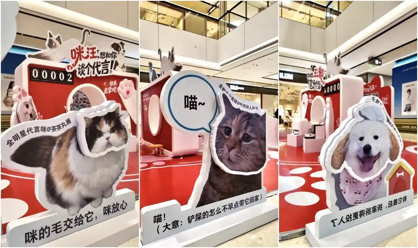 科技清洁新宠登场：石头P20 Max快闪体验引爆养宠家庭
